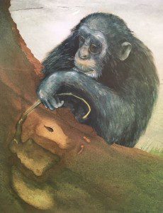 Een vreemde aap illustratie