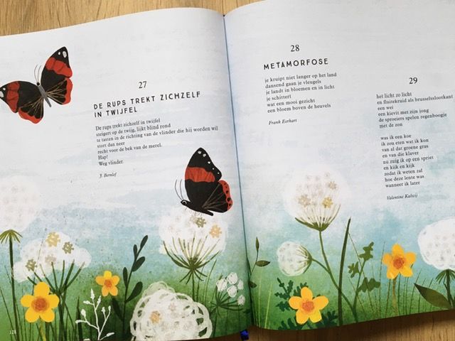 Ik wou dat ik een vogel was - Leesbevordering in de klas