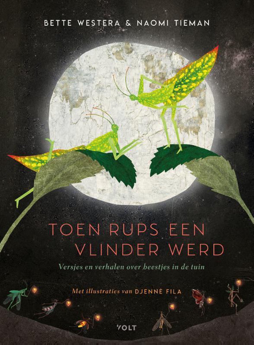 Toen rups een vlinder werd