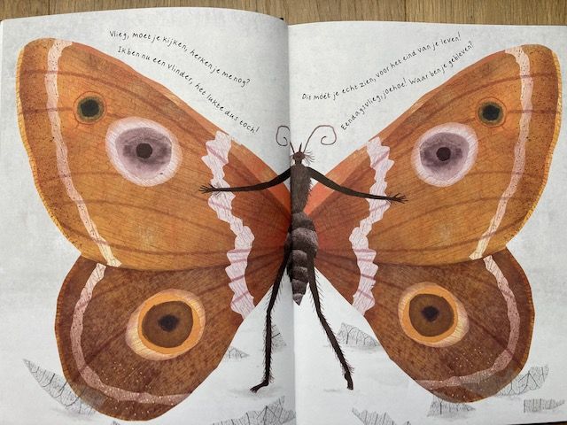 Toen rups een vlinder werd - Leesbevordering in de klas