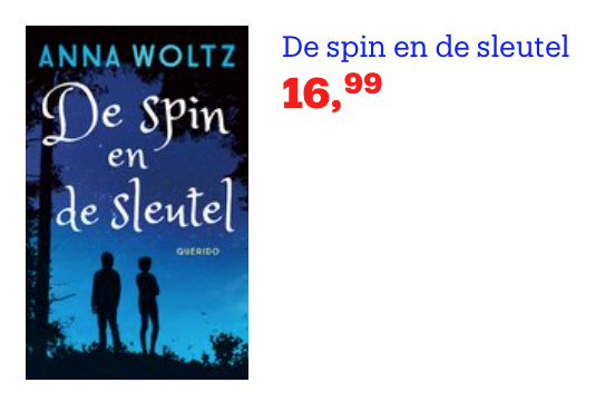 De spin en de sleutel - Leesbevordering in de klas