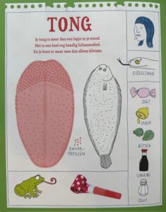 Van tong tot teen