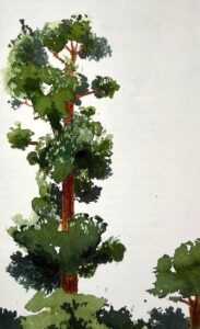 De plant die aan land kroop